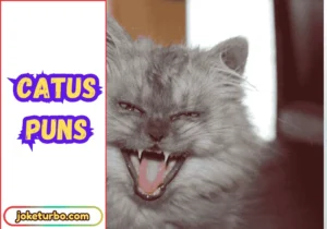 Catus Puns