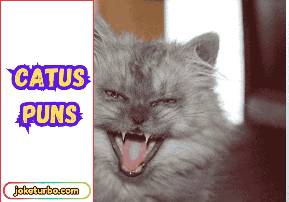 Catus Puns