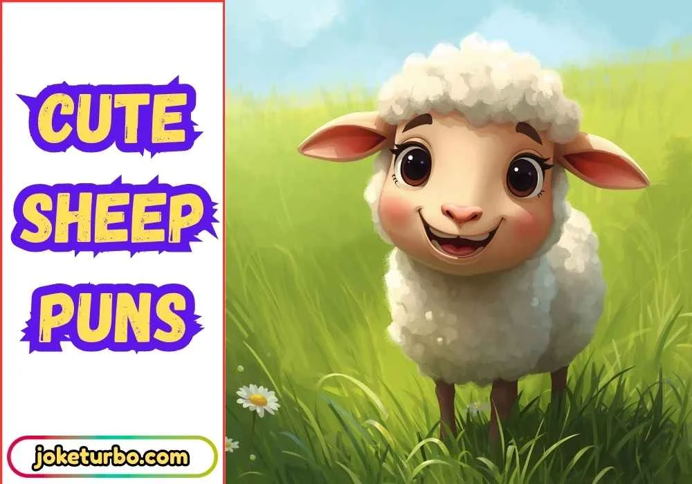 Cute Sheep Puns