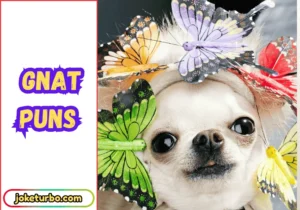 Gnat Puns