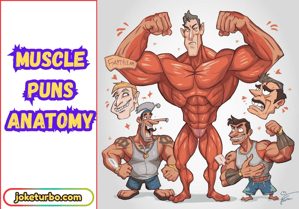 Muscle Puns Anatomy