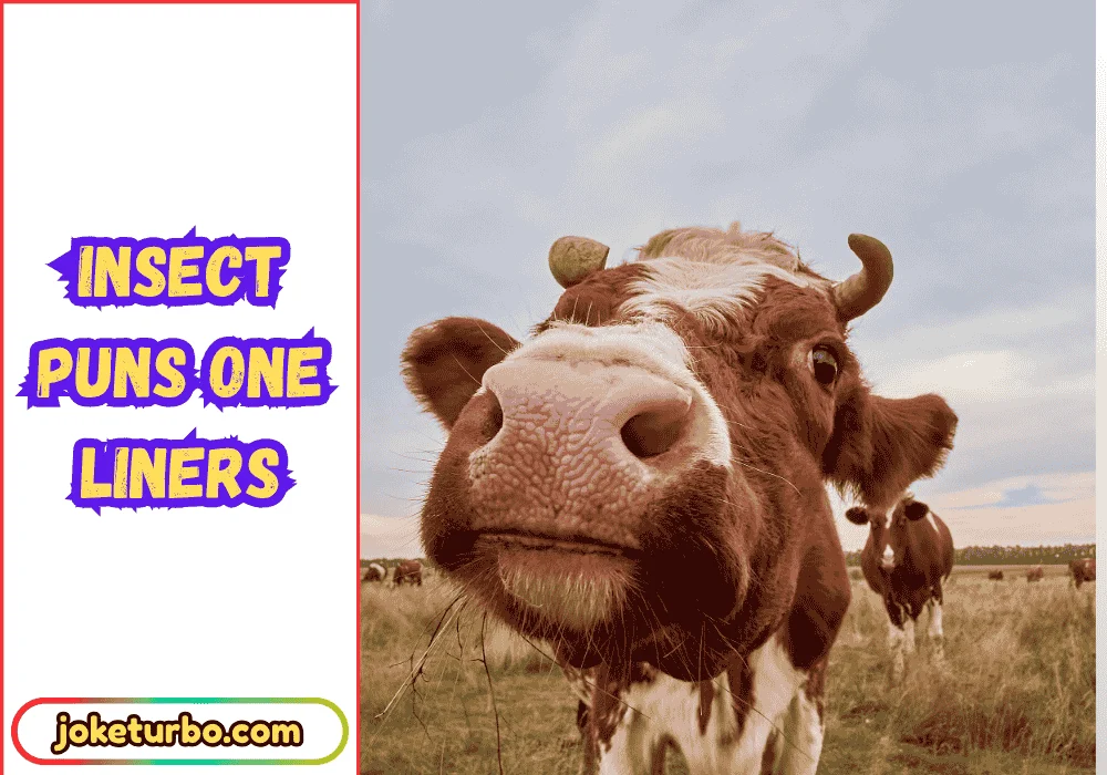 Insect Puns One Liners