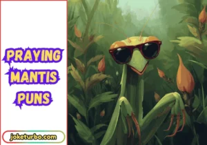 Praying Mantis Puns