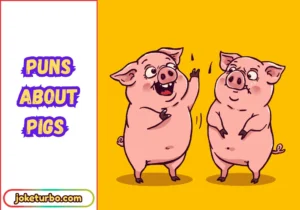Puns about Pigs