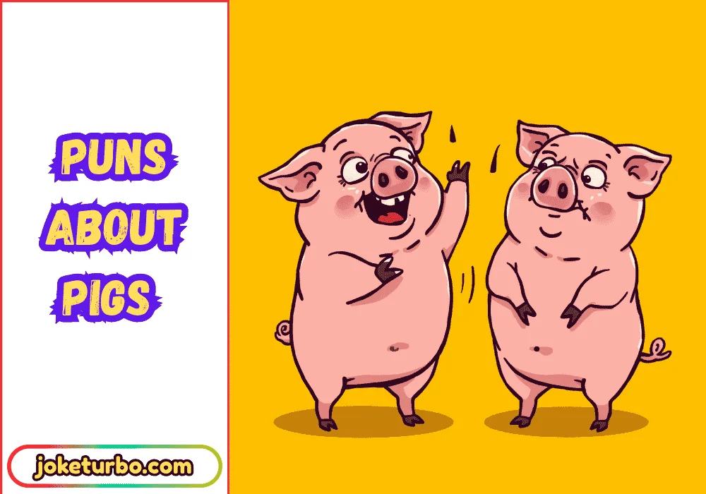 Puns about Pigs