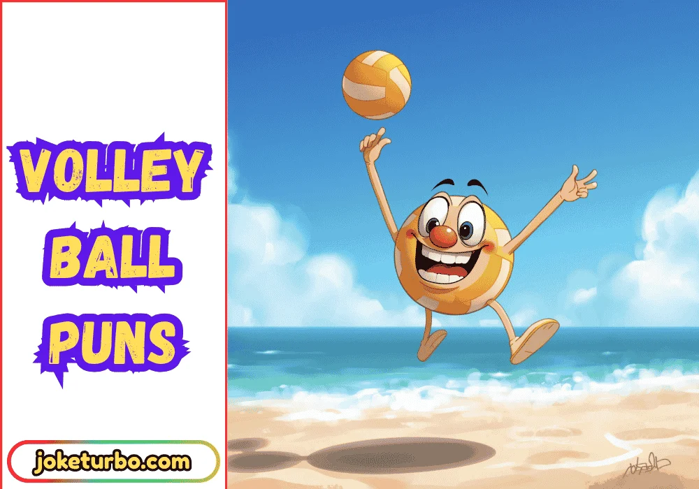 Volley Ball Puns