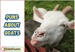 Puns About Goats