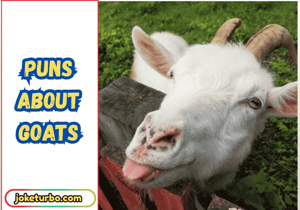 Puns About Goats